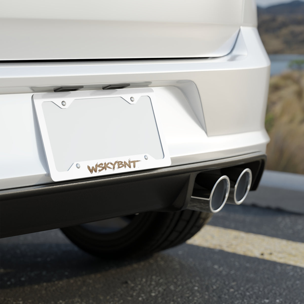 Metal License Plate Frame — Brushed Steel Car Tag Border with WSKYBNT Script