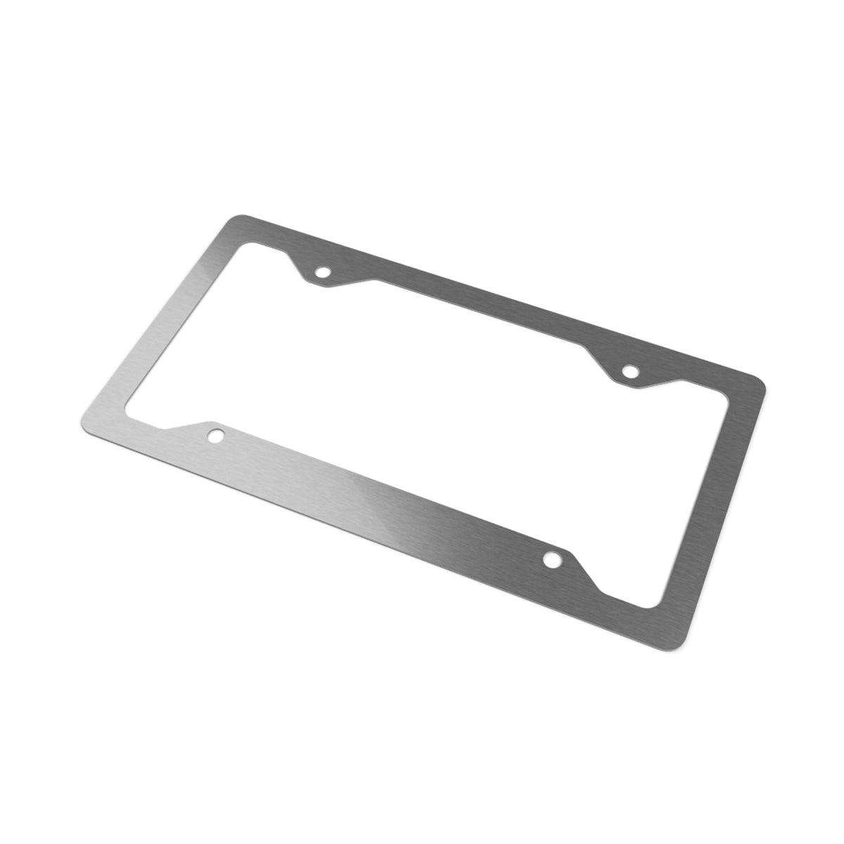 Metal License Plate Frame — Brushed Steel Car Tag Border with WSKYBNT Script